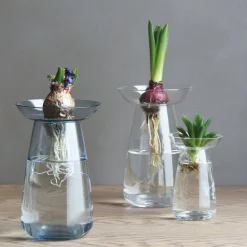 AQUA CULTURE VASE 80mm / 3in