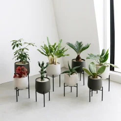 PLANT POT 211_ 135mm