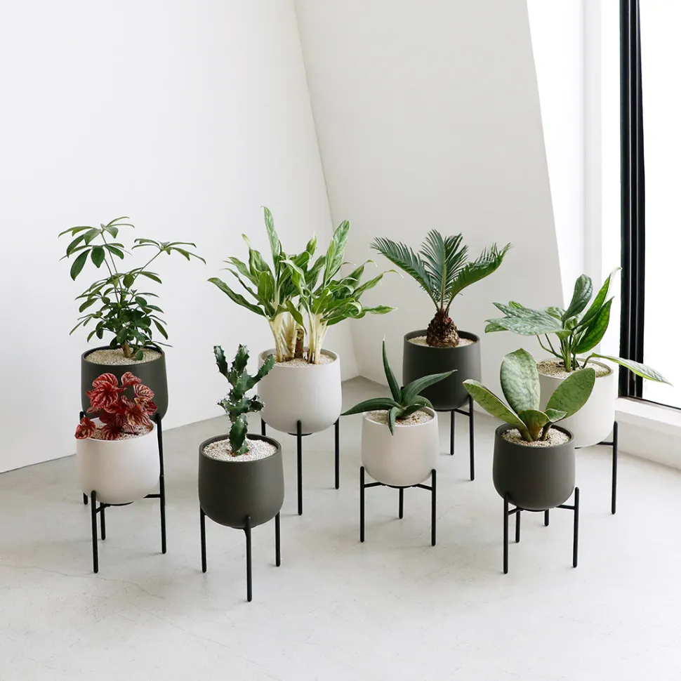 PLANT POT 211_ 160mm