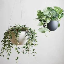 PLANT POT 201_ 174mm / 7in