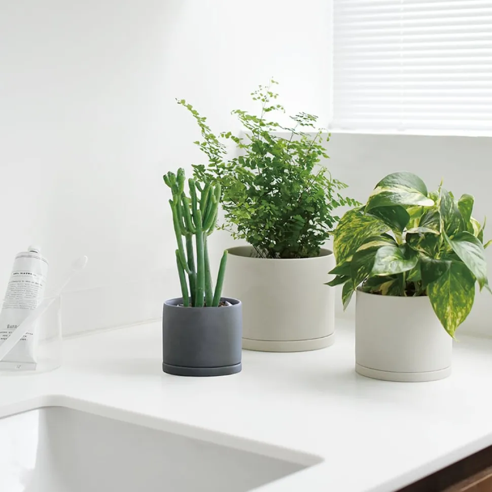 PLANT POT 191_ 135mm / 5in