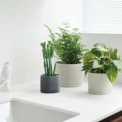 PLANT POT 191_ 105mm / 4in
