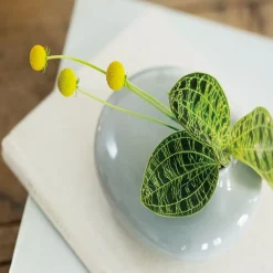 SACCO vase porcelain 01