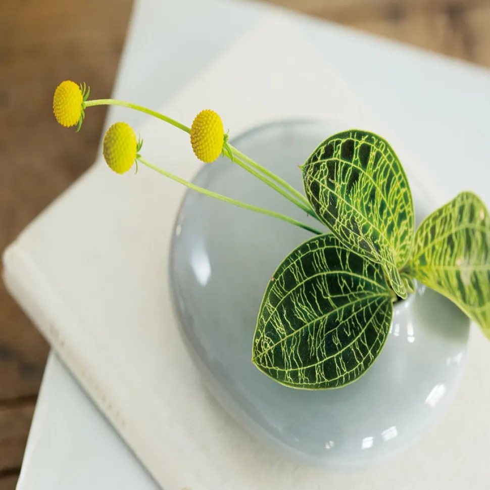 SACCO vase porcelain 01
